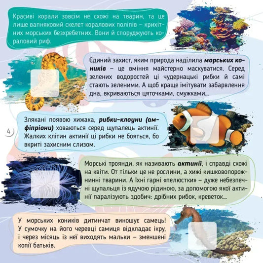 Seas, Oceans And Their Inhabitants / Моря, океани та їхні мешканці Ekaterina Shapovalova / Екатерина Шаповалова 9789669892720-2
