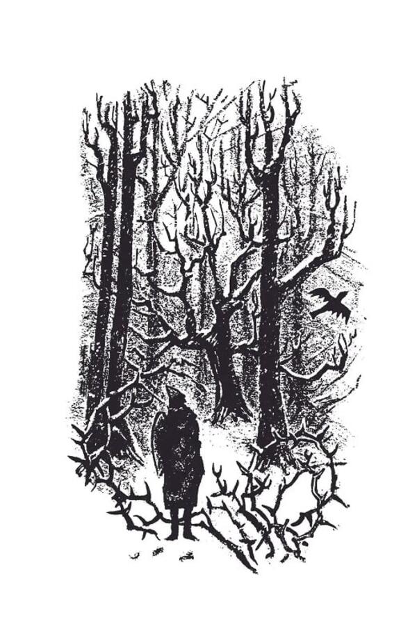 Secrets of the Wild Forest / Таємниці Дикого Лісу Тонке Драгт 978-617-7314-96-6-6