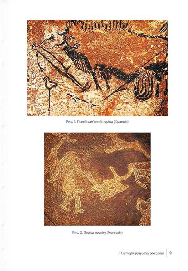 Sexologist and sexopathology / Сексологіт та сексопатологія Николай Бойко 978-617-7906-42-0-6