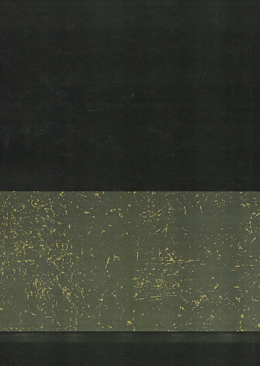 Simon Petliura - President of Ukraine 1879-1926 / Симон Петлюра - президент України 1879-1926 Василий Иванис 978-611-01-1160-7-2