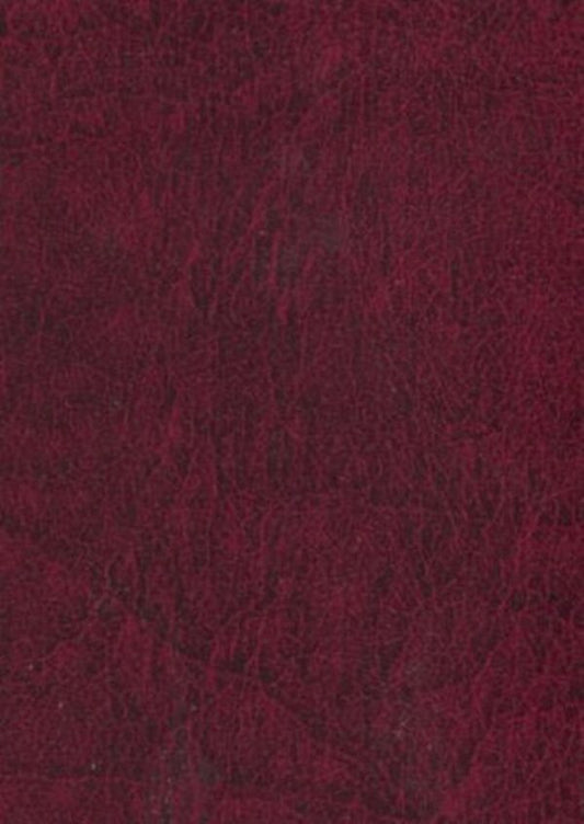 Sketches of Optimism / Этюды оптимизма Илья Мечников 978-966-03-5580-4-2