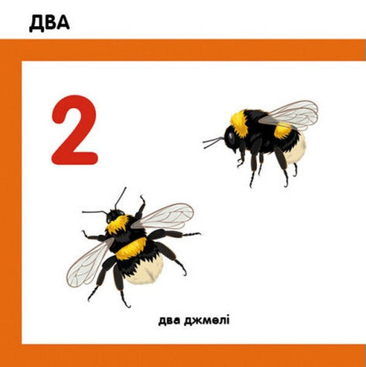 Smart books. Consider insects / Смарт-книги. Лічимо комах 9789667503048-2