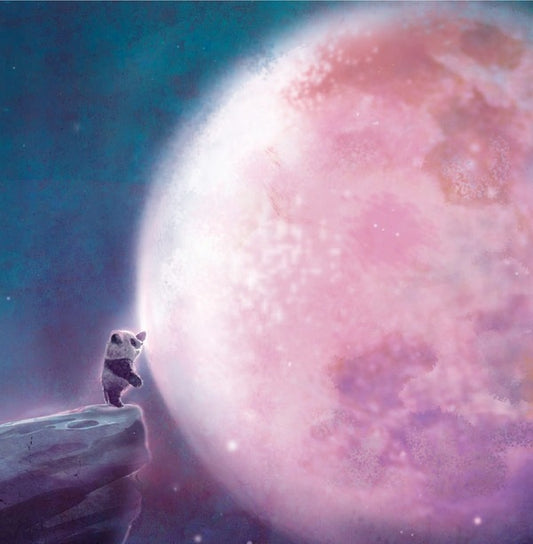 Tales about Pandimoon / Tales about Pandimoon Кристина Нгуен 9786179514296-2