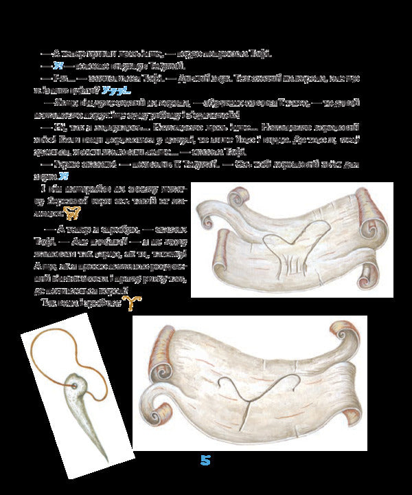Tegumai and Tafi. How the alphabet was invented / Теґумай і Тафі. Як вигадали абетку Редьярд Киплинг 978-966-10-5596-3-6