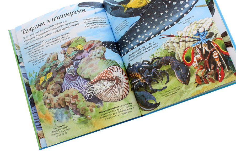 The Big Book of Sea Dwellers / Велика книга морських мешканців Минна Лейси 978-617-7940-17-2-6