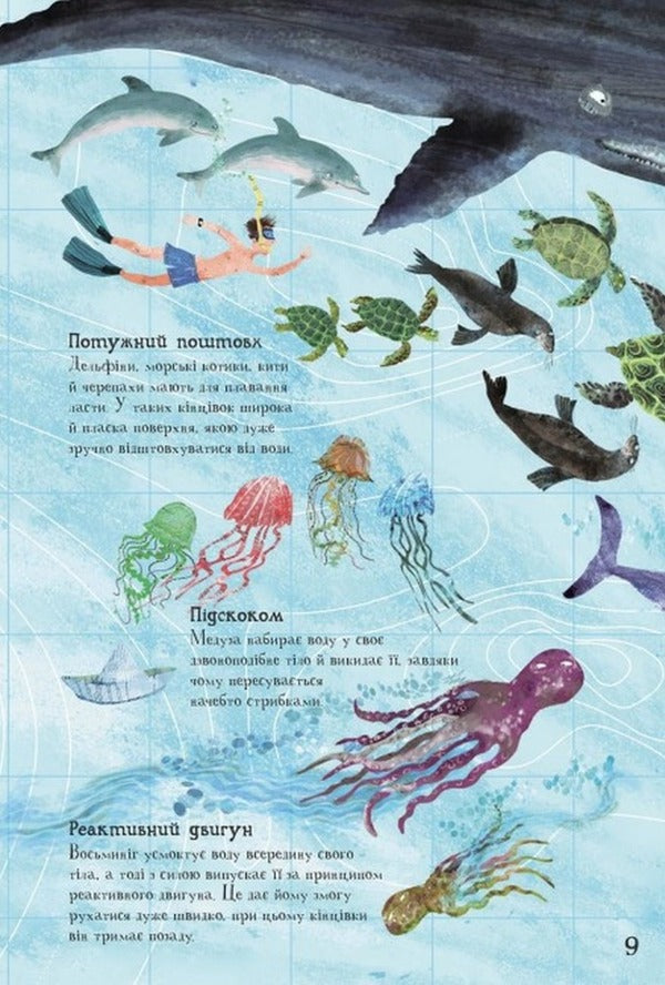 The Big Book of the Seas / Велика книга морів Юваль Зоммер 978-617-09-7289-7-5