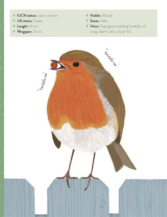 The Bird Book. A Curious Compendium Of 50 Wild Birds Merjel Lland, Roxanne Furman / Мерьель Лланд, Роксанна Фурман 9781787419742-2