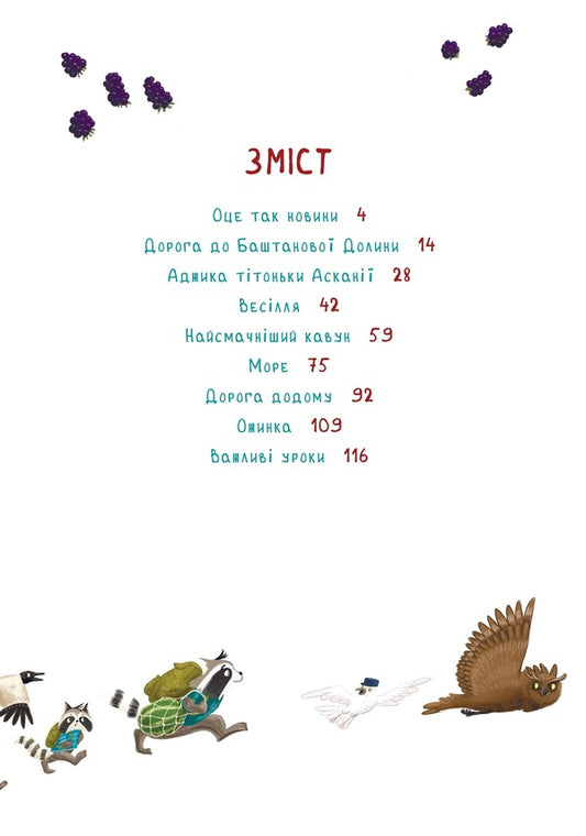 The Crazy Summer Raccoon-Bins. Traveling To Bashtanova Valley / Шалене літо єнотів-бешкетників. Подорож до Баштанової долини Yulia Olefir / Юлія Олегефір 9786176147244-2