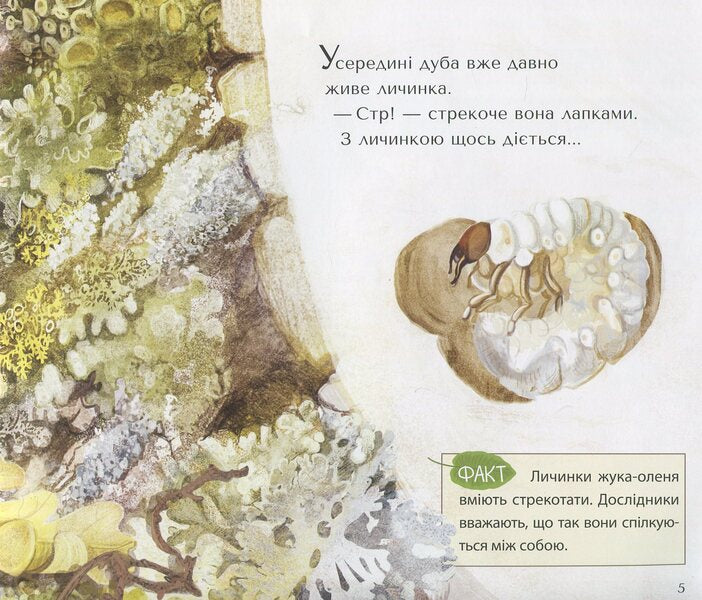 The Great Reincarnation / Велике перевтілення Валентина Вздульская 978-966-97912-0-7-6