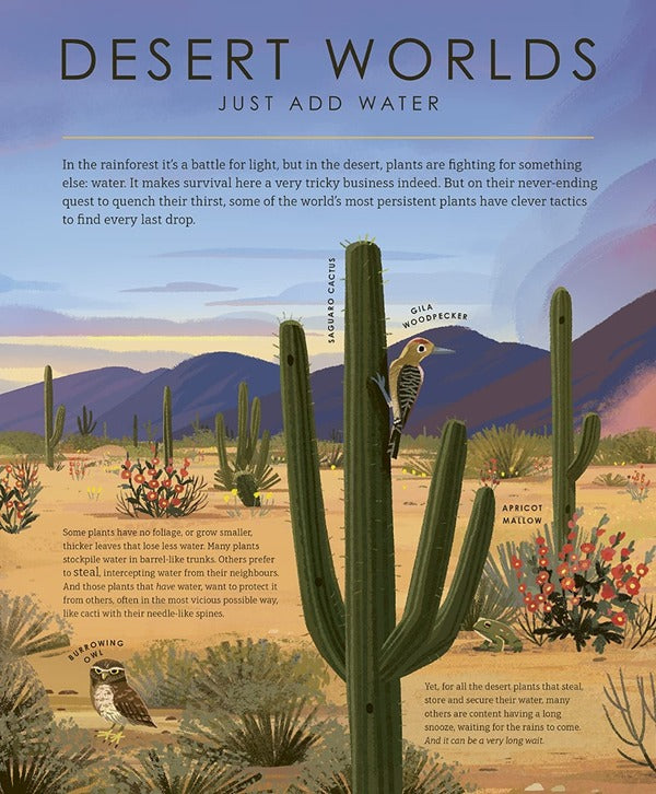 The Green Planet / The Green Planet Лейза Стюарт-Шарп 9781405946681-6