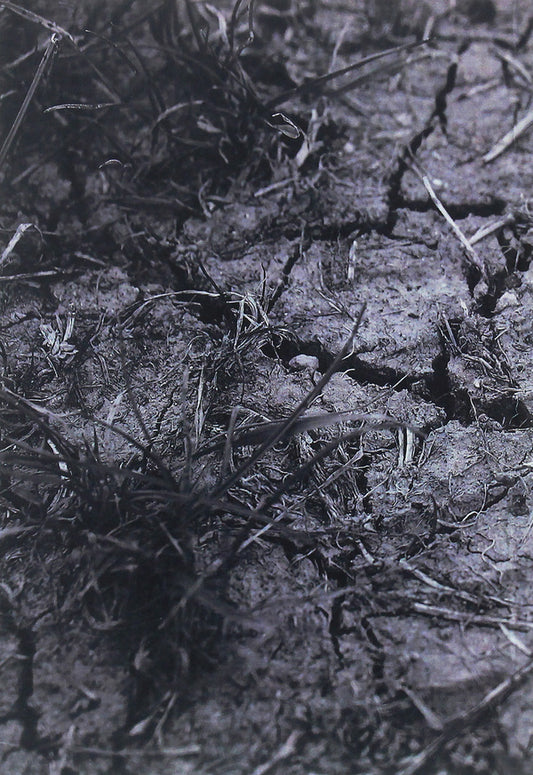 The Third World War by Pavlo Glushanytsia / Третя світова війна Павла Глушаниці Павел Глушаница 978-611-01-2027-2-2