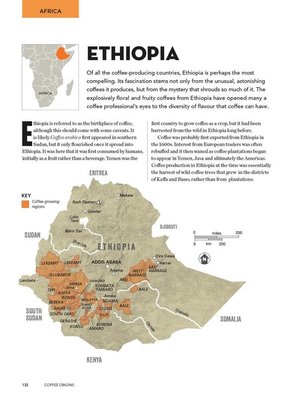 The World Atlas Of Coffee. From Beans To Brewing - Coffees Explored, Explained And Enjoyed James Hoffman - Джеймс Хоффман 9781784724290-6