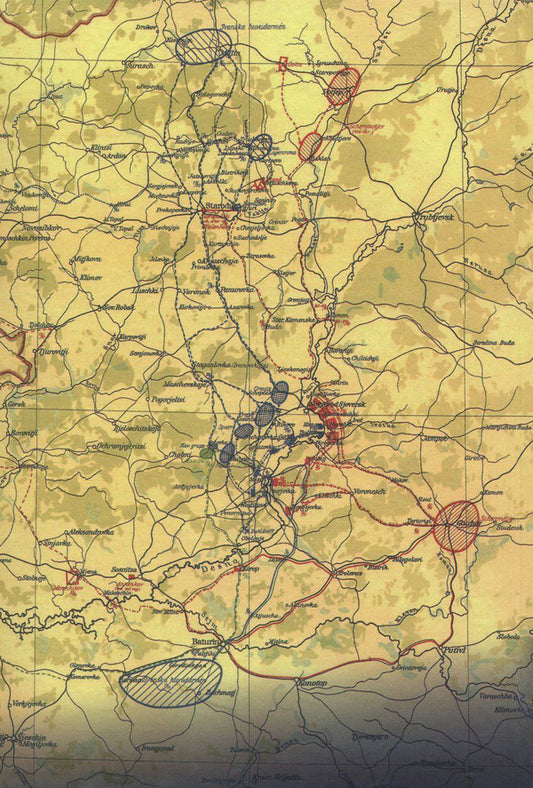 The army of Charles XII in the north of Ukraine / Військо Карла ХІІ на півночі України Сергей Павленко 978-966-518-724-0-2