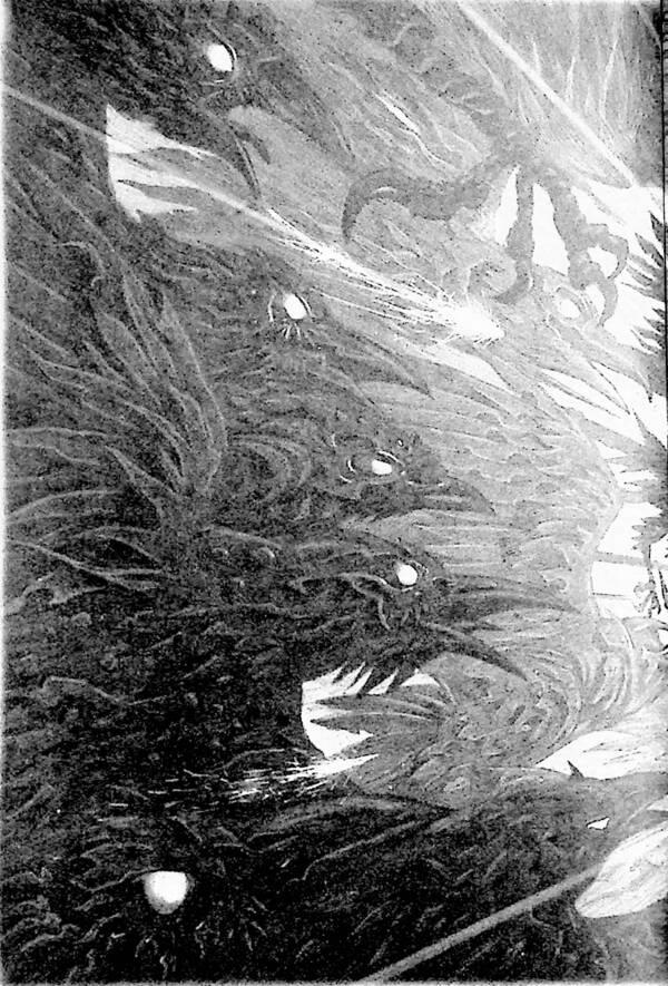The gift of the dark hole / Дар темнистої нори Киран Ларвуд 978-617-585-229-3-6
