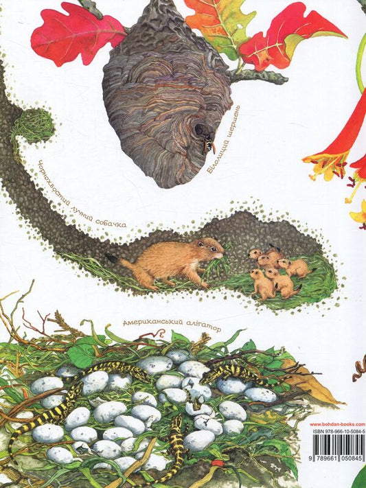 The nest is noisy / Гніздо галасливе Диана Гуттс Астон 978-966-10-5084-5-2