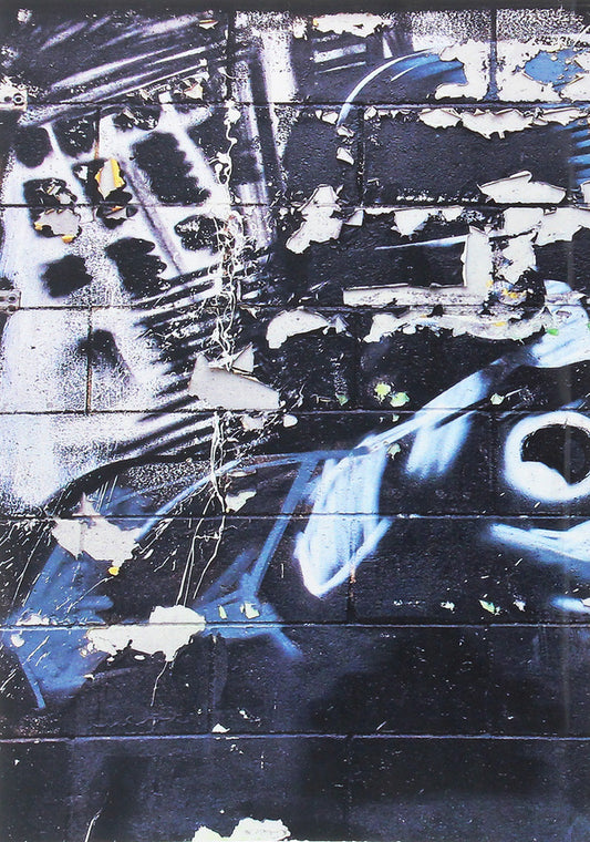 The road of patience from Siberia to California / Дорогою терпіння від Сибіру до Каліфорнії Паша Емец 978-611-01-1921-4-2