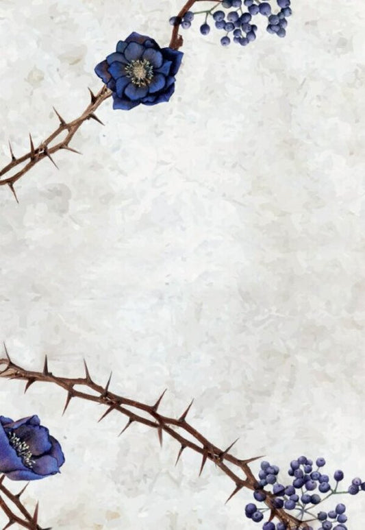 The saga of the witch sisters. Book 1. Sister of the stars / Сага сестер-відьом. Книга 1. Сестра зірок Мара Вульф 978-617-09-8696-2-2