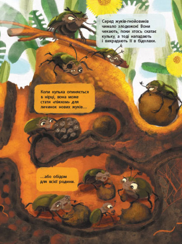 The secret life of insects / Таємне життя комах Ангелина Журба 9786170971906-6