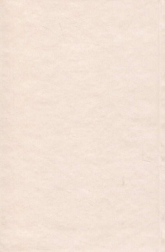 The shadow of a gloomy sunrise. Behind the scenes of Russian life / Тінь похмурого сходу. За кулісами російського життя Фердинанд Оссендовский 9786178310035-2