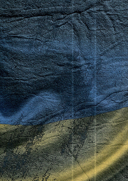 The struggle for the Ukrainian idea / Боротьба за українську ідею Денис Квитковский 978-611-01-1498-1-2