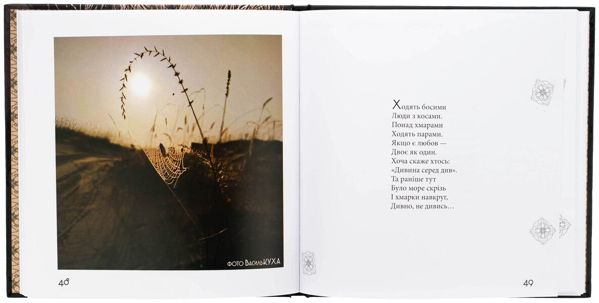 The weird world of Vasily Kukharsky / Чудернацький світ Василя Кухарського Василий Кухарский 9789662793093-6