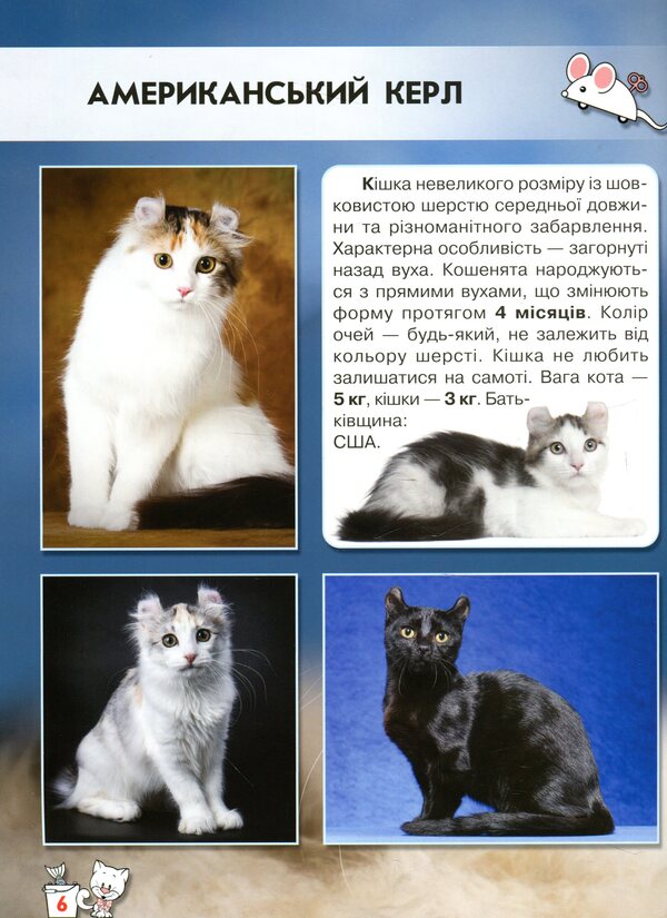 The world around us.Cats / Світ навколо нас. Кішки Тамара Протасовицкая 978-966-936-750-1-6