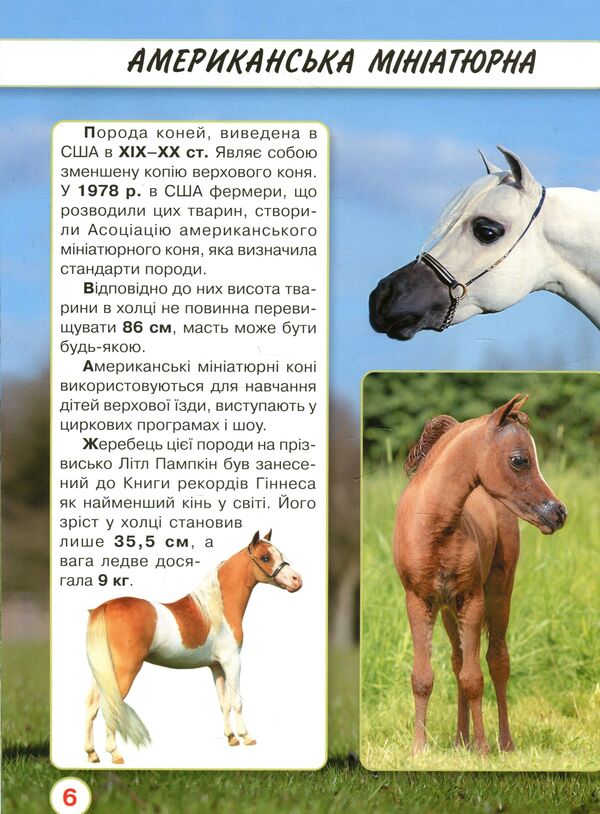 The world around us.Horses / Світ навколо нас. Коні Тамара Протасовицкая 978-966-936-746-4-6