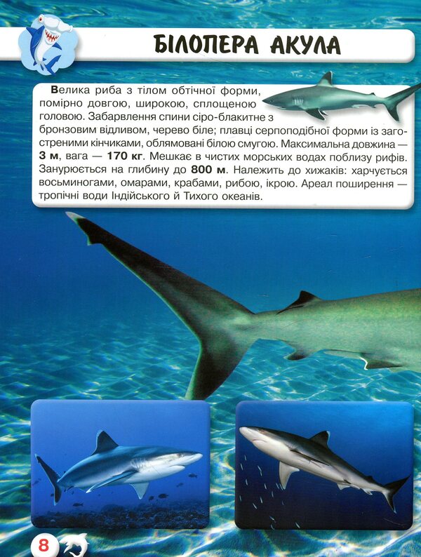 The world around us.Sharks / Світ навколо нас. Акули Тамара Протасовицкая 978-966-936-914-7-6