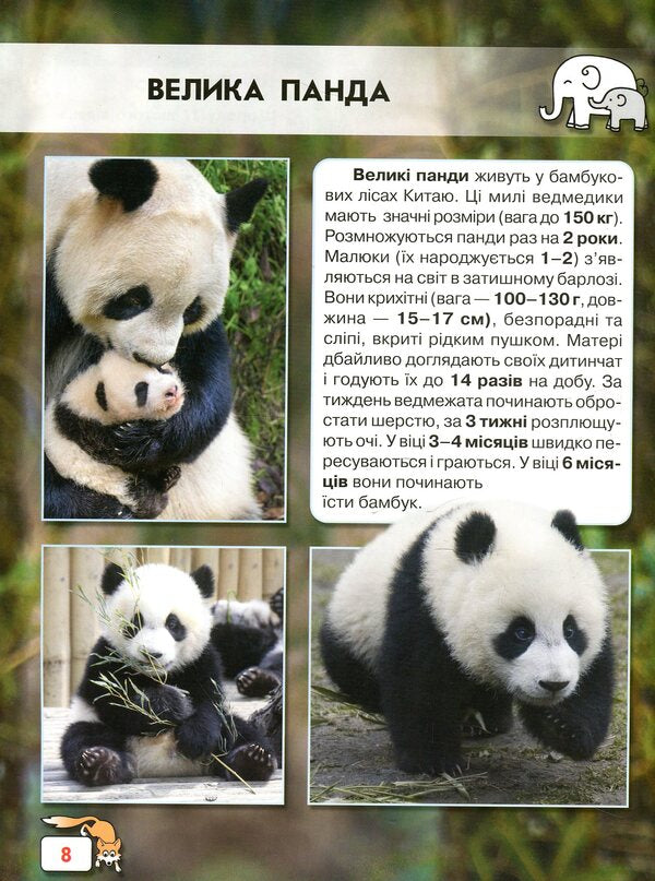 The world around us. Baby animals / Світ навколо нас. Малята тварин 978-966-936-949-9-6