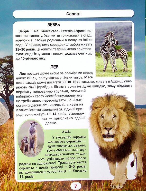 The world around us. Who lives how long? / Світ навколо нас. Хто скільки живе? Дмитрий Турбанист 978-617-547-052-7-6