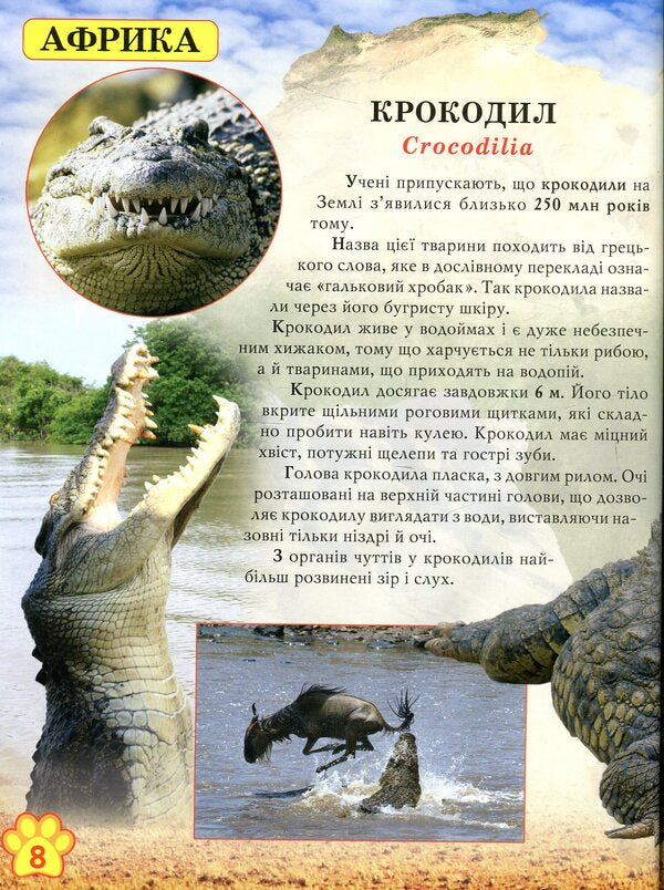 The world around us. Wild animals / Світ навколо нас. Дикі тварини 978-966-936-942-0-6