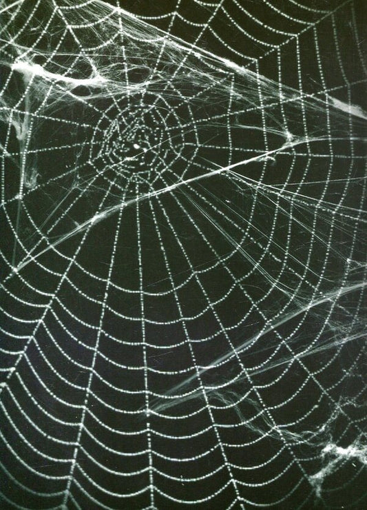 Theoretical foundations of social psychology. A systematic approach / Теоретичні засади соціальної психології. Системний підхід Виталий Циба 978-966-388-325-0-2