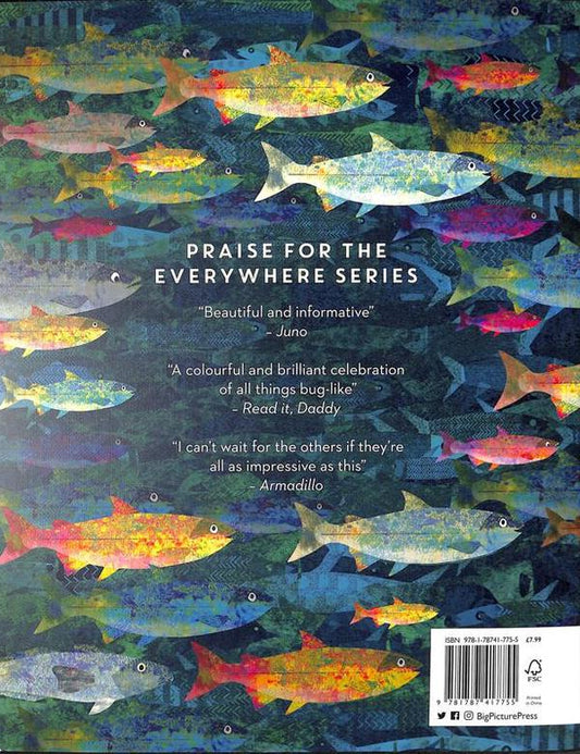 There Are Fish Everywhere Katie Haworth / Кэти Хаворт 9781787417755-2