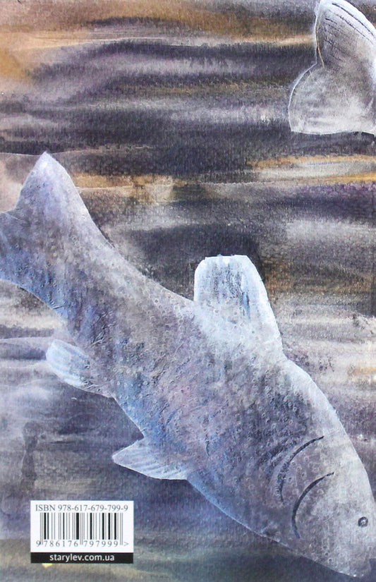 Three ropes for Mary / Три лини для Марії Сергей Осока 978-617-679-799-9-2