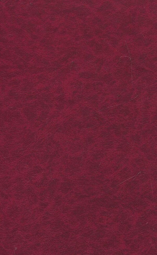 Thresholds and Zaporozhye. In 3 volumes. Volume 2 / Пороги і запоріжжя. В 3 томах. Том 2 Юрий Шерех 978-966-03-5866-9-2