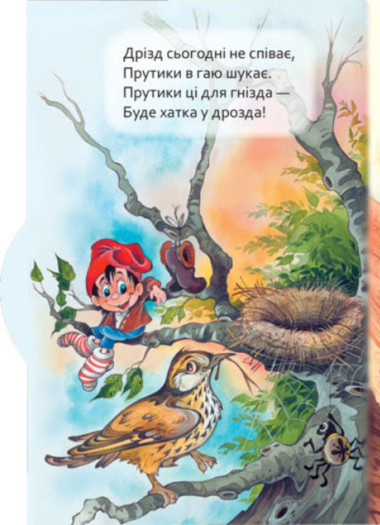 To a little cognoscenti.Who lives where? / Маленькому пізнайкові. Хто де живе Анна Новикова 9789667508661-2