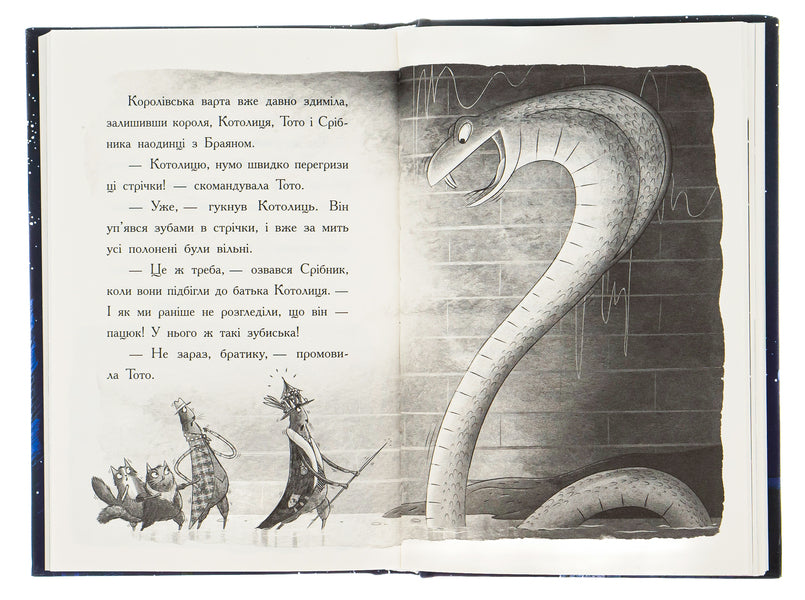 Toto.Ninja Cat and the Great Snake Escape.Book 1 / Тото. Кішка-ніндзя та велика втеча змія. Книга 1 Дермот О'Лири 978-617-09-7431-0-6