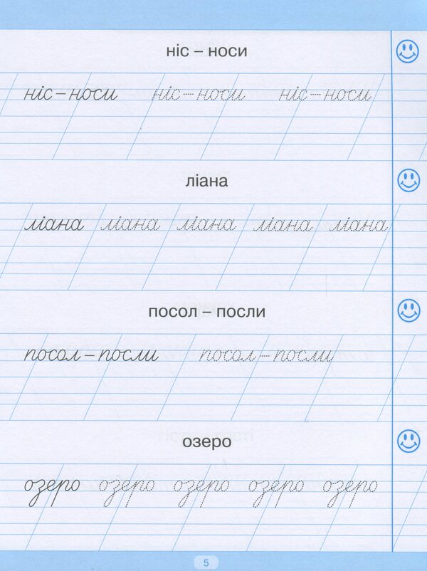 Trainer For Writing Down Words, Phrases And Sentences / Тренажер для списування слів, словосполучень і речень Anastasia Fisyna / Анастасія Фісіна 9789669396938-6