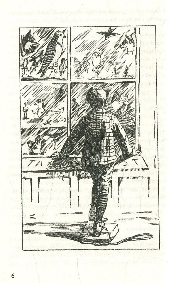 Two little savages / Два маленьких дикуни Эрнест Сетон-Томпсон 978-617-07-0586-0-6