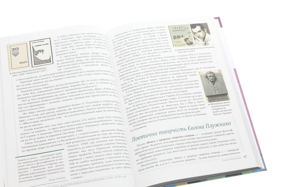 Ukrainian literature (standard level). Textbook for 11th grade / Українська література (рівень стандарту). Підручник для 11 класу Ольга Слоневская, Наталия Мафтын 978-966-945-073-9-6