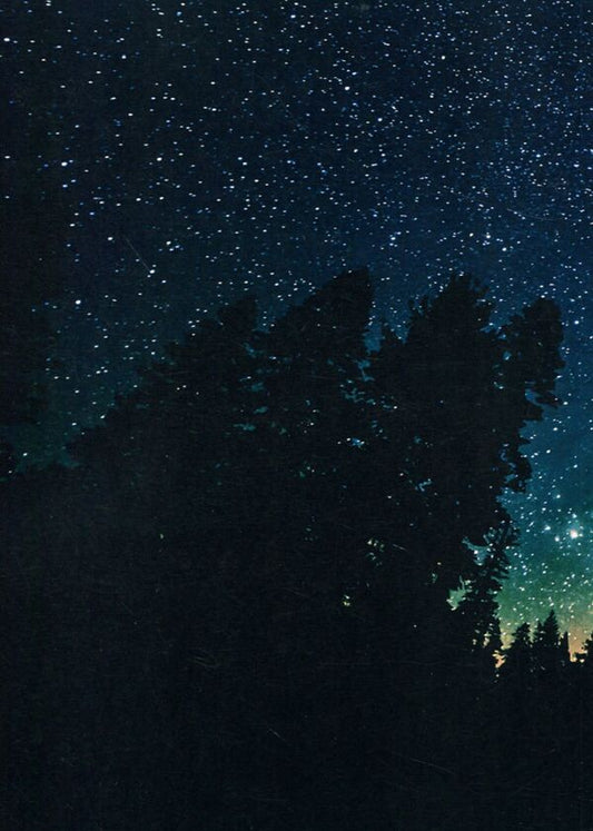 Under other people's stars / Під чужі зорі Дария Ярославская 978-611-01-2216-0-2