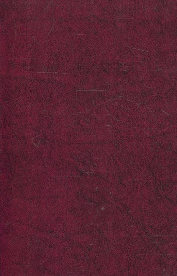 V. Svidzinskyi. Poetry / В. Свідзінський. Поезiї Владимир Свидзинский 978-966-03-5110-3-2
