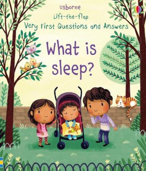Very First Questions and Answers What is Sleep? / Very First Questions and Answers What is Sleep? Кэйти Дэйнс 9781474940108-1