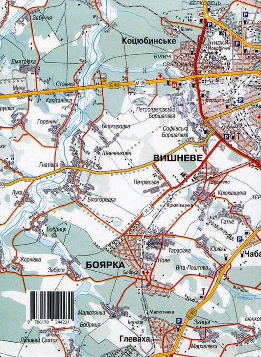 WE ARE STAYING. Diary / МИ ЗАЛИШАЄМОСЯ. Щоденник Дария Китайгородская 9786178244231-2