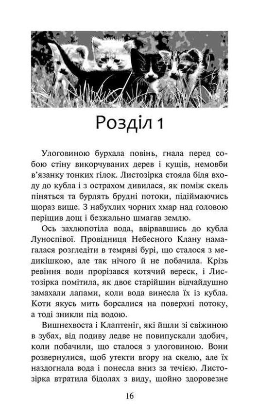 Warrior cats. Destiny of the Sky Clan / Коти-вояки. Доля Небесного Клану Эрин Хантер 9786178229399-2