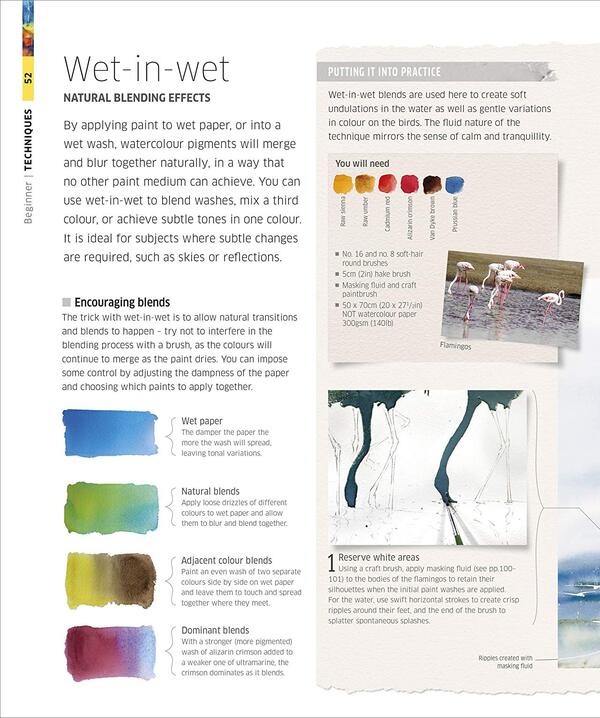 Watercolor Techniques for Artists and Illustrators. Discover how to paint landscapes, people, still lives, and more / Watercolour Techniques for Artists and Illustrators. Discover how to paint landscapes, people, still lifes, and more 9780241413319-6