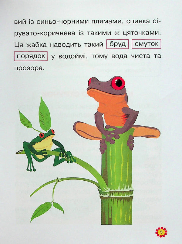 We Learn To Read.Lyrics / Навчаємося читати. Тексти Anastasia Fisyna / Анастасія Фісіна 9786175240434-6