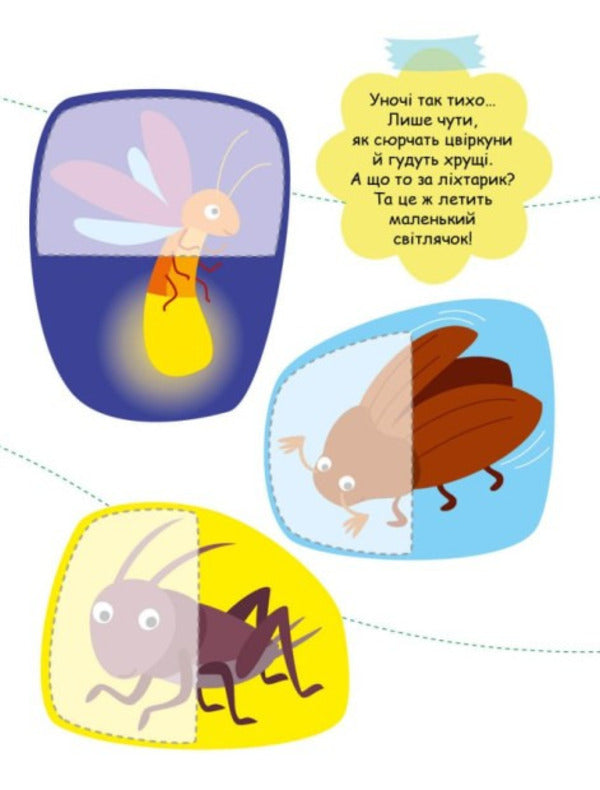 We are looking for partners. Insects (+ stickers) / Шукаємо половинки. Комахи (+ наліпки) Алена Пуляева 9789667512651-5