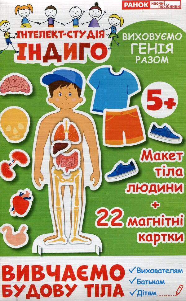 We study the structure of the body / Вивчаємо будову тіла 4823076138844-1