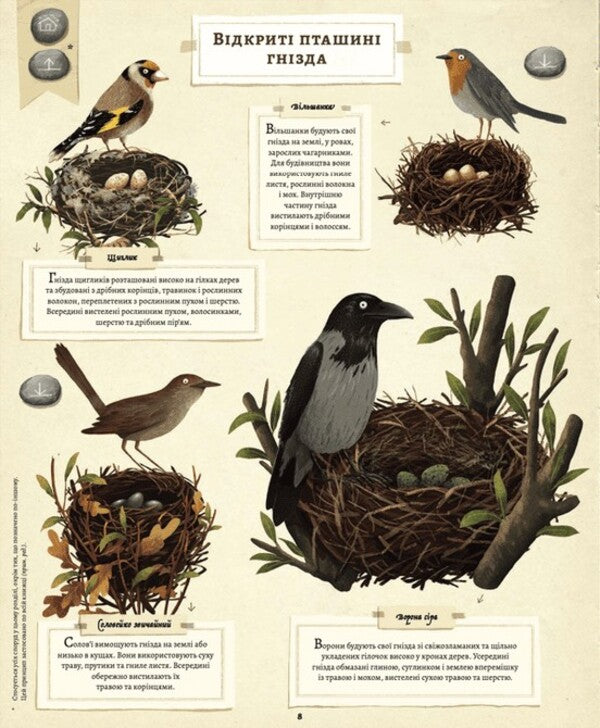 What do animals build? / Що будують звірята? Эмилия Дзюбак 978-966-448-127-1-6